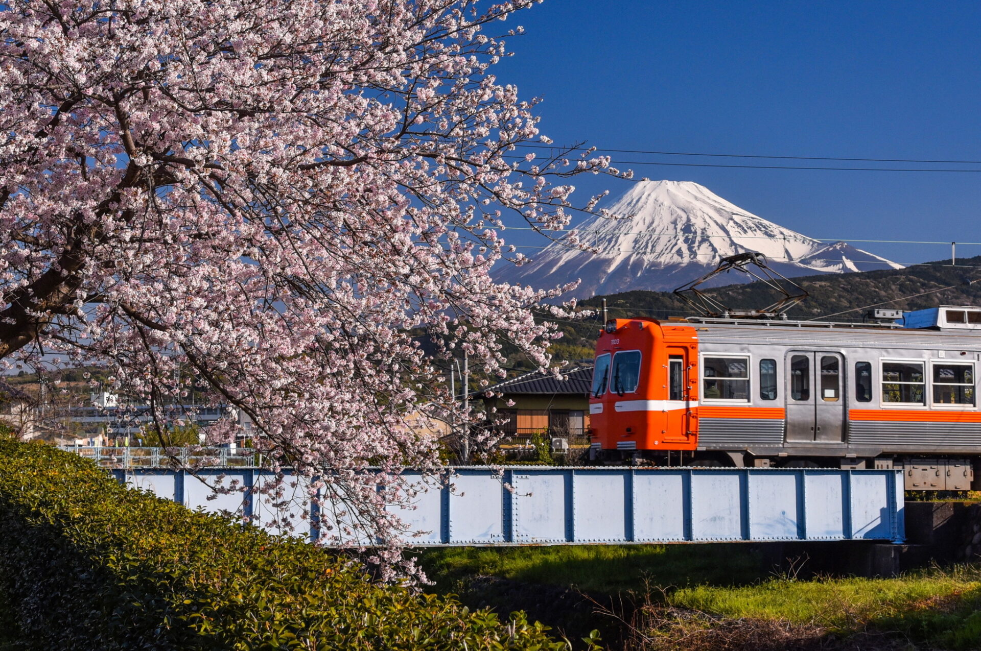 写真で地元の魅力を世界へ発信！ | 【公式】トライアルパーク蒲原
